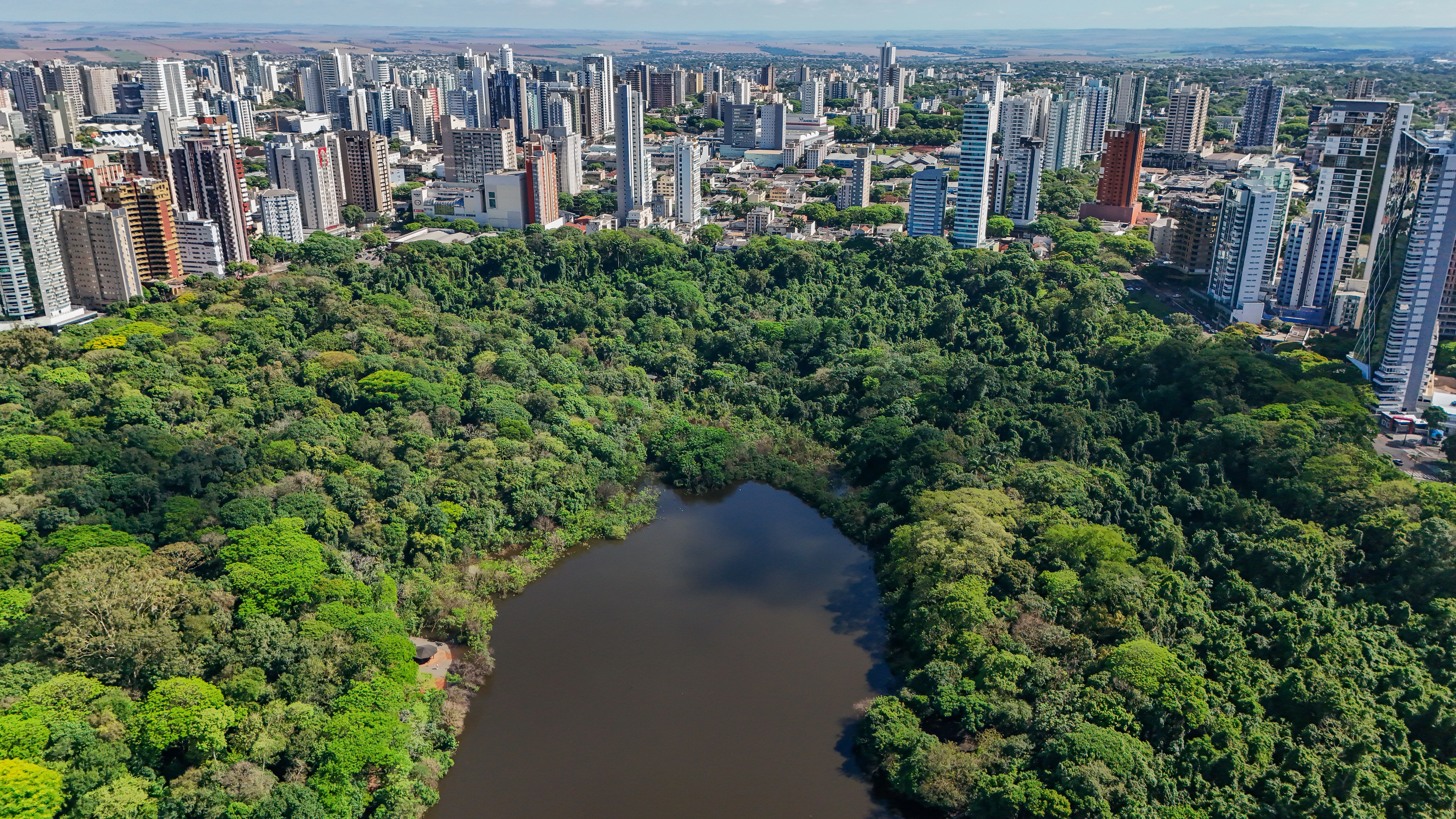 Maringá propõe valorizar empresas com práticas sustentáveis em licitações.